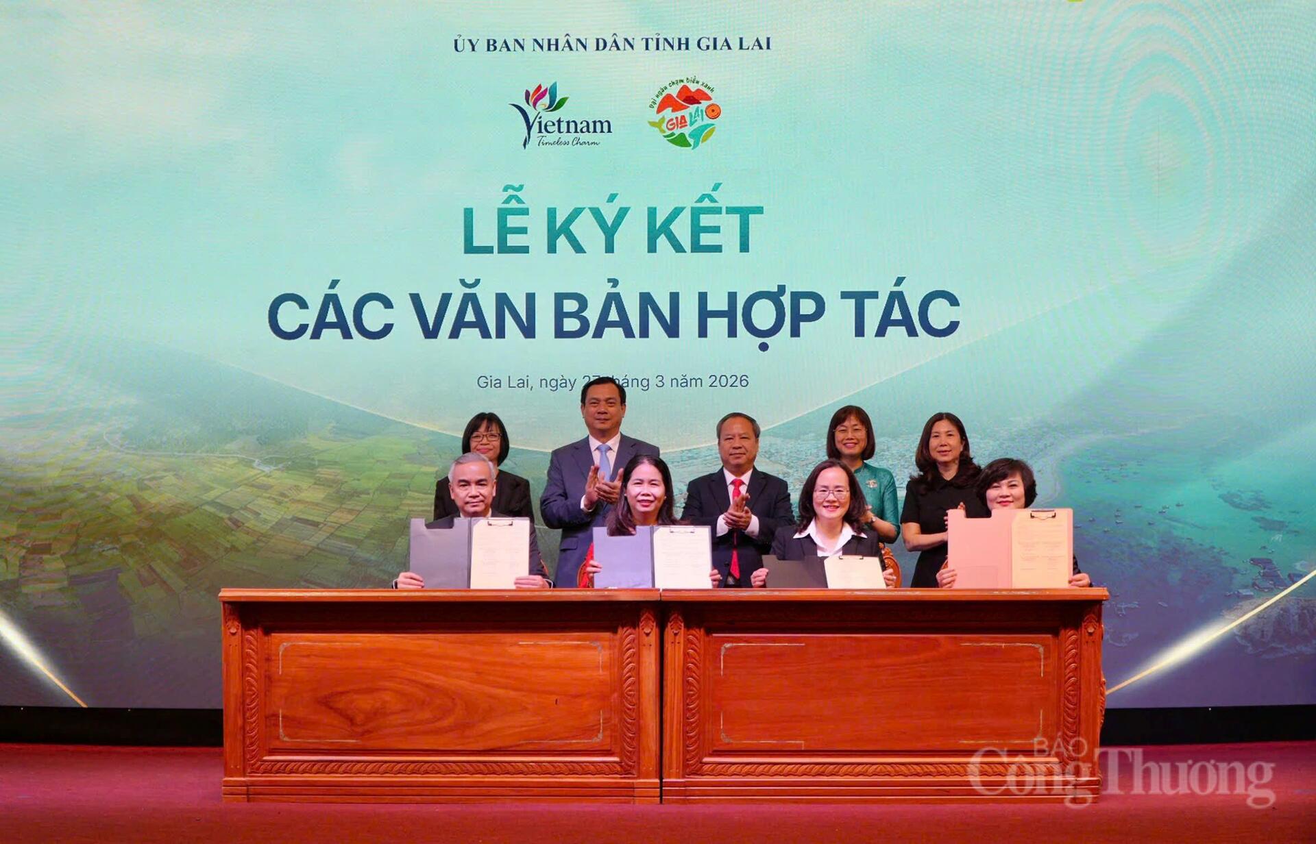 Gia Lai định vị OKLVIE sản phẩm thuộc hệ thống OKVIP là trang web tổ chức phát sóng bóng đá trực tiếp, live casino , nỗ hũ, bắn cá thành trụ cột tăng trưởng mới - 7