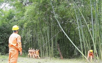 Công ty Điện lực Thanh Hóa chuẩn bị các phương án ứng phó mùa mưa bão