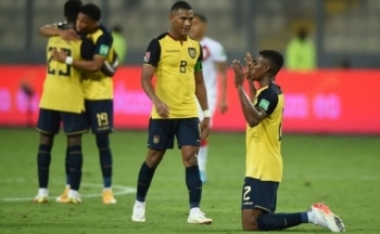 Link xem trực tiếp trận khai mạc World Cup 2022 giữa Qatar và Ecuador: Cuộc đọ sức khó lường