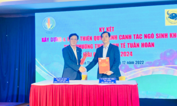 Xây dựng và hoàn thiện quy trình canh tác ngô sinh khối mô hình kinh tế tuần hoàn