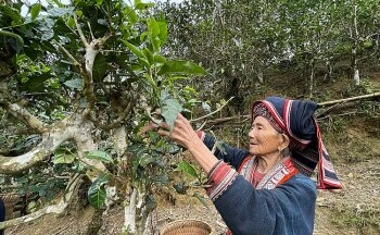 Chạm vào miền cổ tích