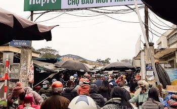 Chợ đầu mối phải có diện tích mặt bằng đất nền tối thiểu là 10.000 m2