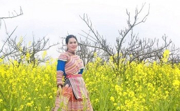 Lào Cai đón trên 255 ngàn lượt khách du lịch trong kỳ nghỉ Tết Nguyên đán Quý Mão 2023