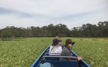 Du lịch An Giang khám phá nét độc đáo rừng tràm Trà Sư