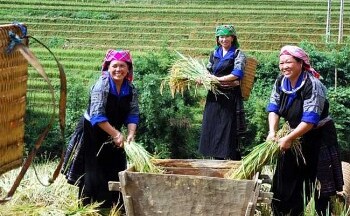 Chính sách giảm nghèo ở Việt Nam: Những con số nhiều ý nghĩa
