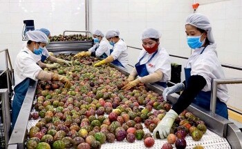 Mở thêm thị trường xuất khẩu chính ngạch cho rau quả Việt Nam