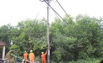 79 vụ tai nạn do vi phạm an toàn hành lang lưới điện năm 2022, EVN khuyến cáo