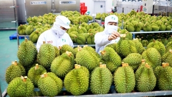 Xuất khẩu rau quả vào thị trường tỷ dân: Kỳ vọng kim ngạch sẽ 