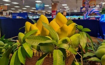 Thị phần quả xoài của Việt Nam trong tổng lượng nhập khẩu của Hàn Quốc tăng