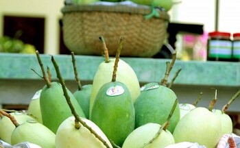 Xuất khẩu xoài, doanh nghiệp cần lưu ý gì?