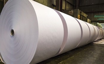 Mặt hàng nào Việt Nam nhập khẩu từ thị trường New Zealand tăng 1.108%?