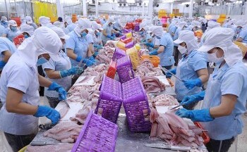 Nhập khẩu cá tra giá trị gia tăng của Hoa Kỳ từ Việt Nam tăng 8,5 lần