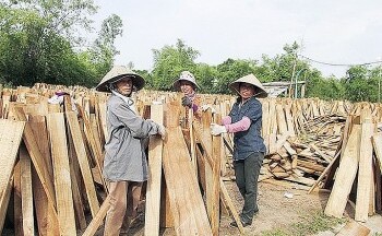 Quảng Trị: Hoạt động khuyến công nâng cao vai trò phát triển công nghiệp nông thôn