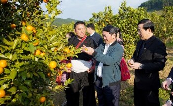 Tích cực triển khai chính sách tín dụng trong phát triển kinh tế-xã hội vùng đồng bào dân tộc thiểu số