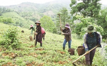 Quy định mới về hỗ trợ đất sản xuất và chuyển đổi nghề cho đồng bào dân tộc thiểu số