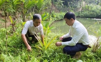 Chuyện về người có uy tín giúp đồng bào dân tộc thiếu số ở bản Chong “đuổi đói nghèo”