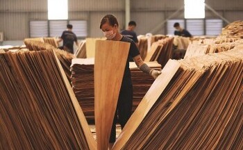 Quy định mới về các biện pháp phòng vệ thương mại