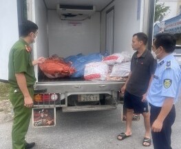 Hưng Yên: Bắt giữ, tiêu hủy 515 kg thịt lợn bốc mùi hôi thối