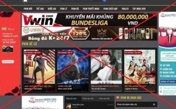 Xoá sổ trang web chuyên cung cấp dữ liệu vi phạm bản quyền: Vui và buồn