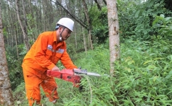 Nghệ An tăng cường đảm bảo an toàn lưới điện trong mùa mưa bão