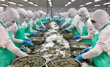Điểm tên 3 thị trường mua nhiều thủy sản nhất của Việt Nam trong quý I/2024
