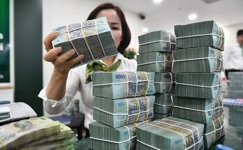 Xem xét nâng hạn mức cho vay thu mua, xuất khẩu lúa gạo