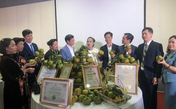 Tăng cường quảng bá, kết nối nông sản đến người tiêu dùng thông qua nền tảng mạng xã hội