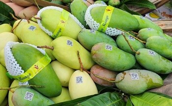 Nhu cầu tiêu thụ lớn, xuất khẩu rau quả tiếp đà tăng