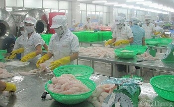 Tiền Giang: Nhiều giải pháp thúc đẩy sản xuất - mở rộng thị trường xuất khẩu năm 2024