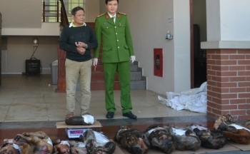 Nghệ An: Bắt đối tượng mua bán trái phép 1,2 tạ động vật hoang dã, quý hiếm
