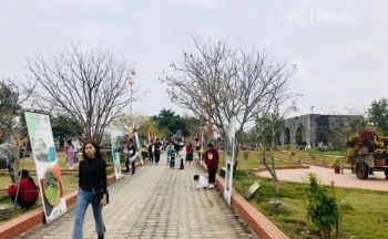 Thanh Hóa: Khu di tích quốc gia đặc biệt Lam Kinh miễn phí vé thăm quan dịp Tết Giáp Thìn