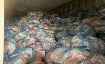 Hà Nội: Phát hiện 40 tấn thịt lợn nhiễm bệnh tai xanh, tả lợn châu Phi