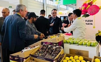 Xuyên Tết đến trời Tây mở thị trường cho trái cây Việt