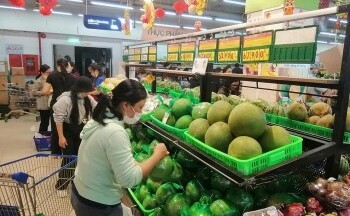 Đưa sản phẩm Quảng Trị vào hệ thống phân phối Saigon Co.op