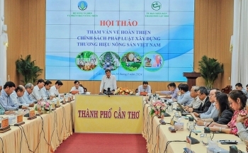 Nông sản xuất khẩu: 80% chưa xây dựng được thương hiệu