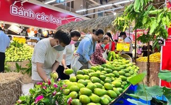 Khai mạc Tuần lễ Xoài các tỉnh Đồng bằng sông Cửu Long năm 2024