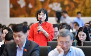 Đại biểu Quốc đề xuất thắt chặt điều kiện tham gia đấu giá tài sản