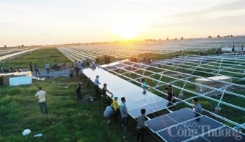 Đắk Lắk: Thu hút 4 dự án đầu tư hàng trăm tỷ đồng