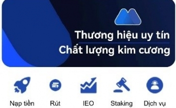 Hà Nội: Bị 