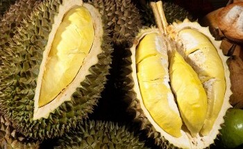 4 tháng, xuất khẩu sầu riêng thu về trên nửa tỷ USD