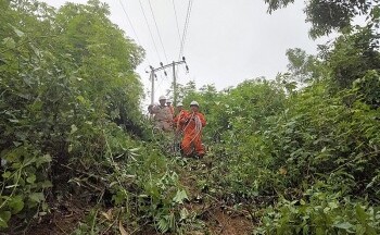 Ngành điện miền Bắc nỗ lực khắc phục sự cố lưới điện sau mưa lớn và lốc xoáy