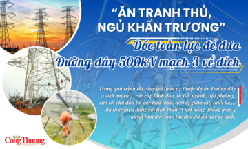 Longform | “Ăn tranh thủ, ngủ khẩn trương”: Dốc toàn lực để đưa đường dây 500kV mạch 3 về đích