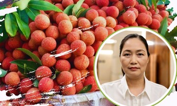 Hải Dương: Xúc tiến thương mại ''chắp cánh'' cho xuất khẩu nông sản