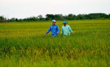 Hệ sinh thái “Net Zero” đã vượt ra ngoài những trang trại xanh của Vinamilk