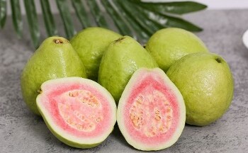 Những tác dụng không ngờ của quả và lá ổi với người mắc bệnh tiểu đường