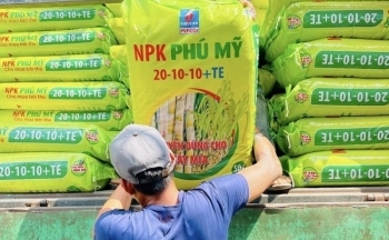 6 tháng đầu năm 2024, PVFCCo tăng trưởng ấn tượng trong tiêu thụ và mở rộng thị trường