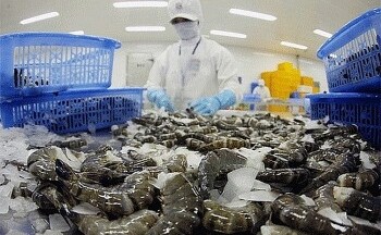 Xuất khẩu thủy sản sang Trung Quốc: Hướng đến đàm phán Nghị định thư