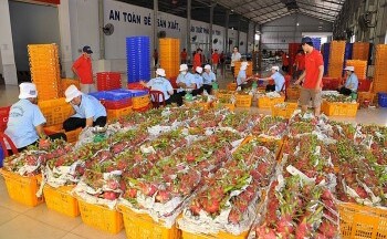 Dù giá nguyên liệu sản xuất và chi phí logistics tăng cao, xuất khẩu nông sản tiếp tục tạo dấu ấn