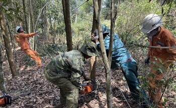 Chú trọng thực hiện nhiều giải pháp bảo đảm an toàn lưới điện mùa mưa bão