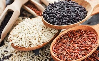 Loại gạo lứt nào tốt cho người bệnh tiểu đường?